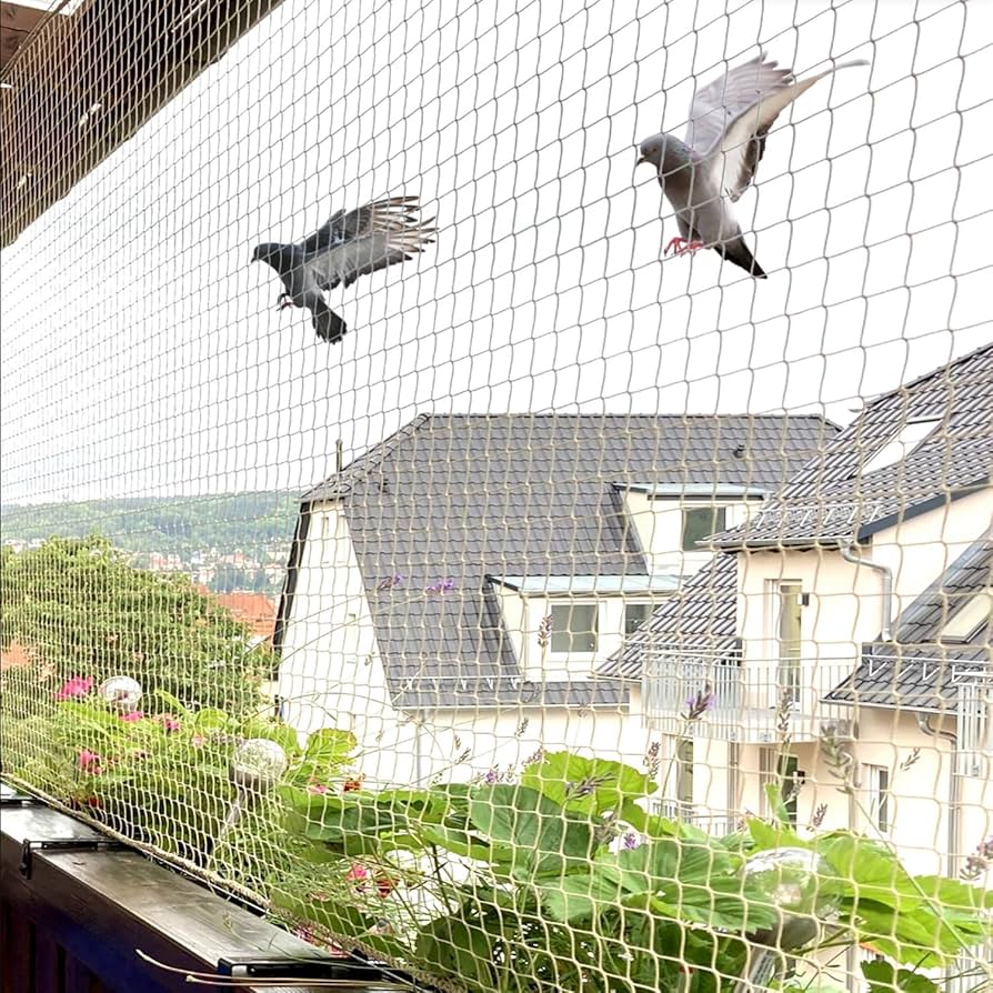 Bird Net Installation by BR INDIA SPEED KING
